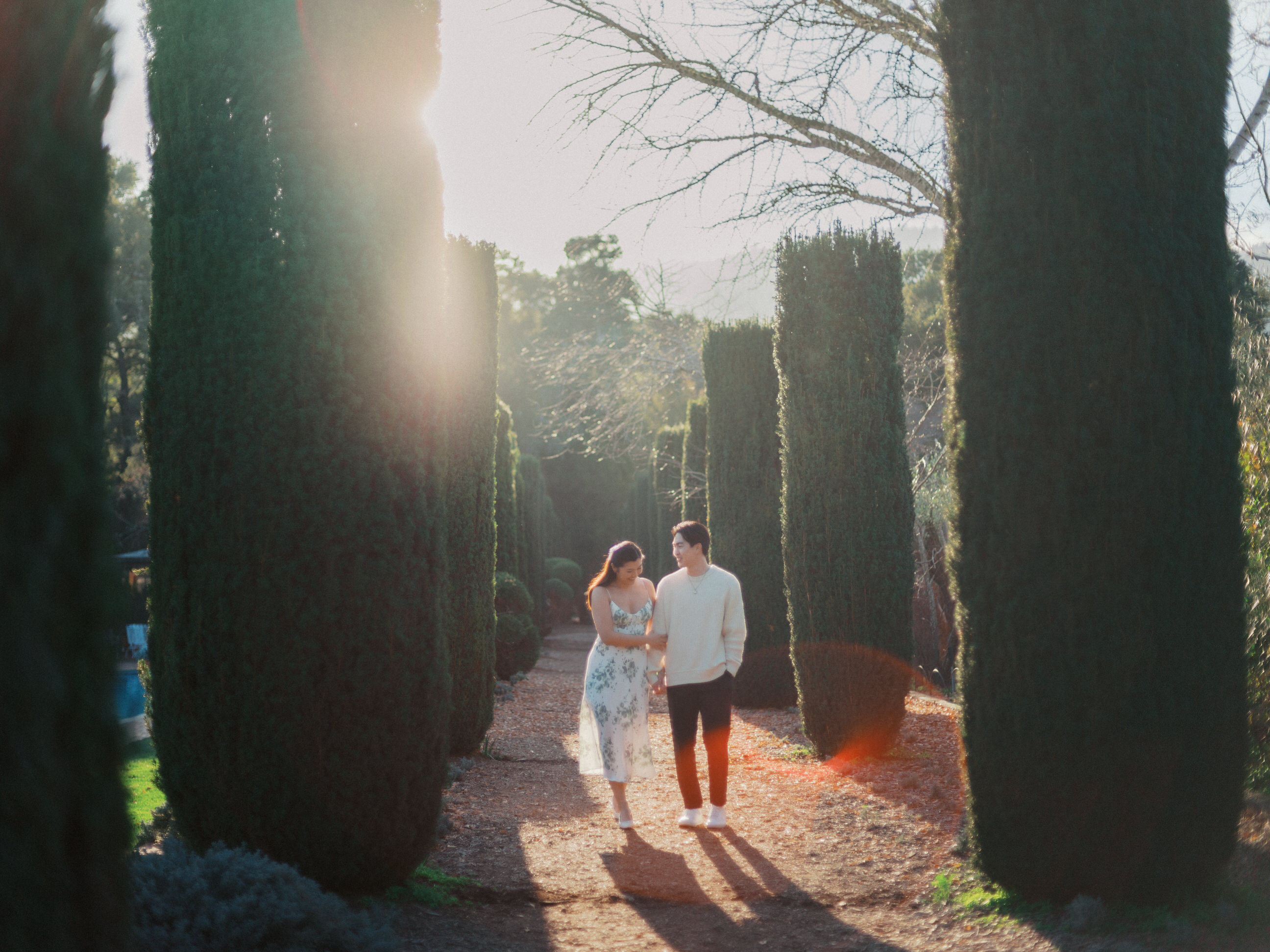 A couple doing their engagement photos at Filoli Gardens